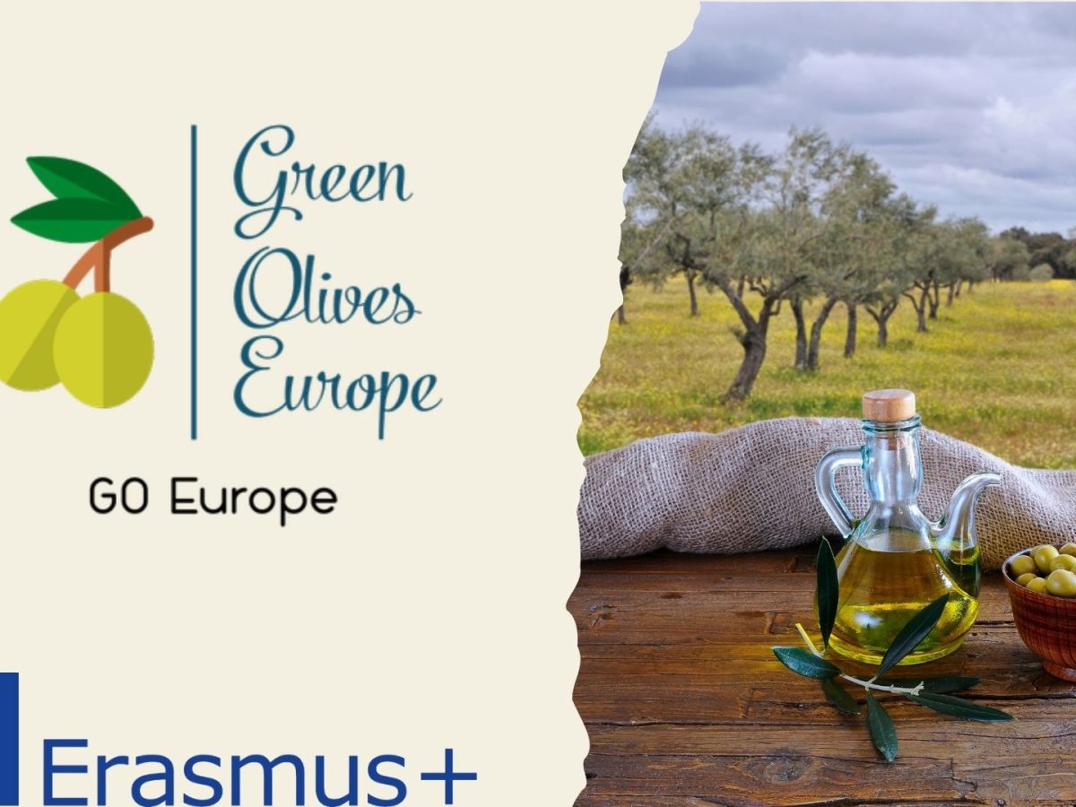 Green Olives Europe – Erasmus Plus Youth&nbsp;Exchange